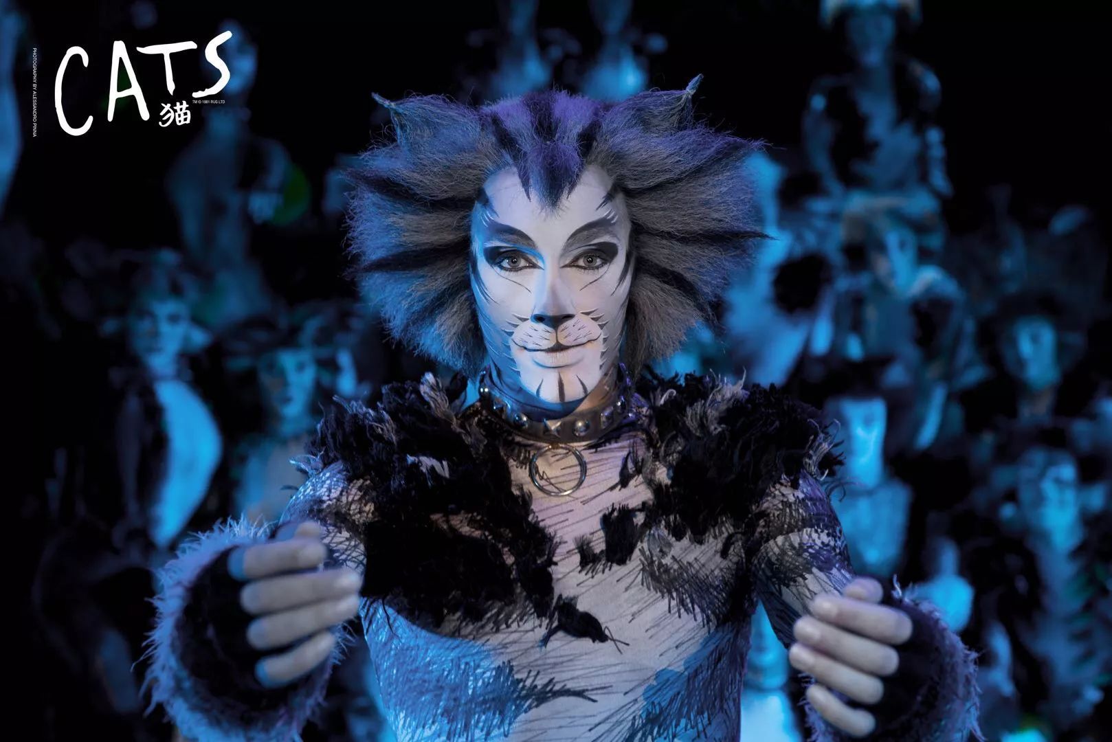 音乐剧《猫》：用艺术形式讲述人性的故事