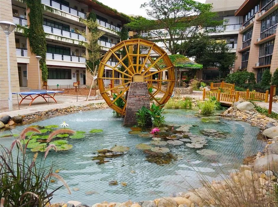 五缘实验 | 厦门第一所教育局直属九年一贯制公校！