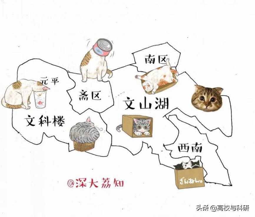 深圳大学，没想到你是这样的存在