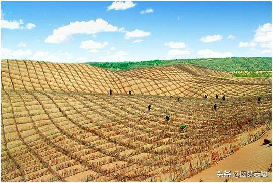 大学专业：为水土保持与荒漠化专业正名！它并非你想象的冷门