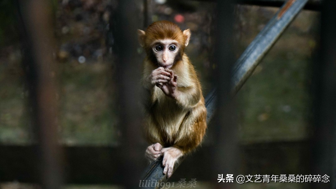 古村落、原始森林、火山岩，宝藏旅行地福建三明两日一夜打卡记