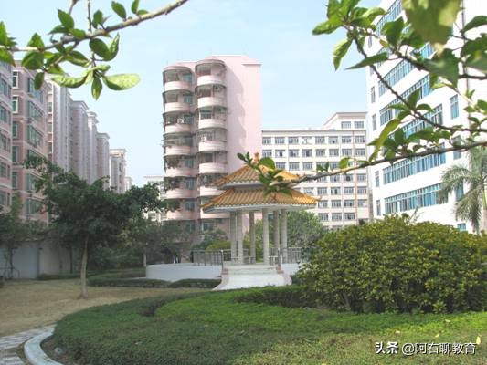 广东茂名高校大揭底？竟然只有1所本科