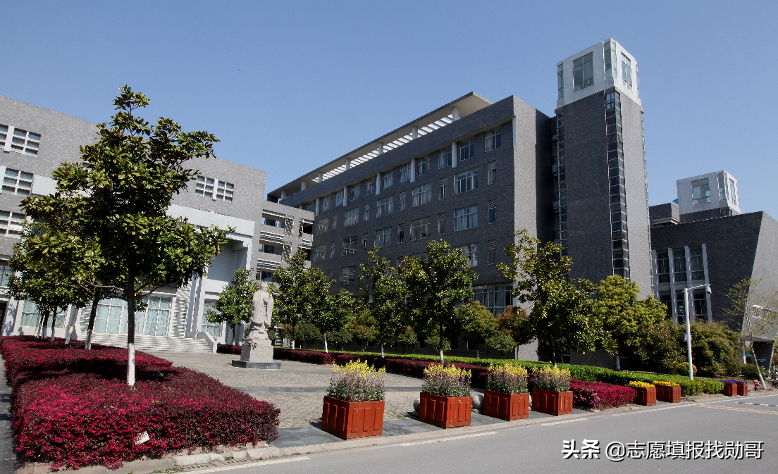 深度分析：本科麻醉学毕业生，为什么一直供不应求？