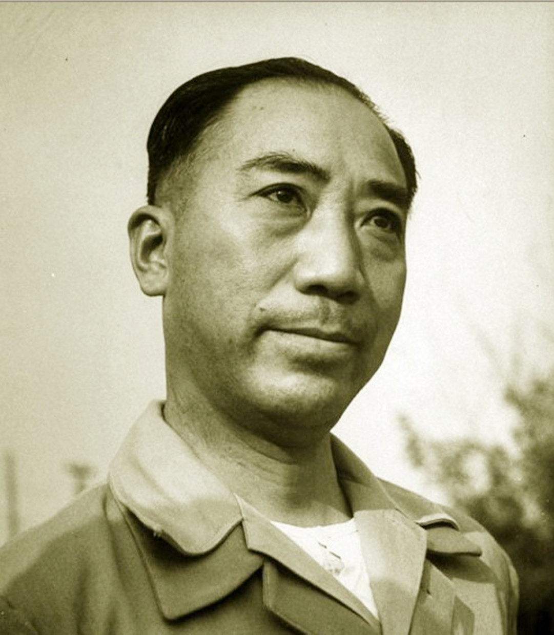 杨立仁判断日军登陆点和智斗日谍都是真事，但主角却是戴笠和文强