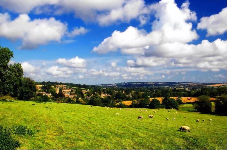 全国进入高温炙烤状态。还好东北还有两场雨要下