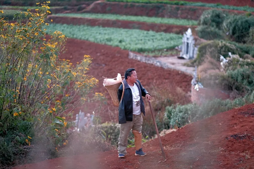 请收藏！“手足”夫妇的五句话，送给正在奋斗的你