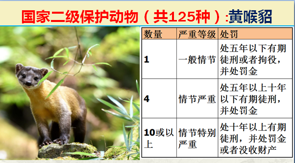 二级保护动物（国家最新125类二级野生保护名录）