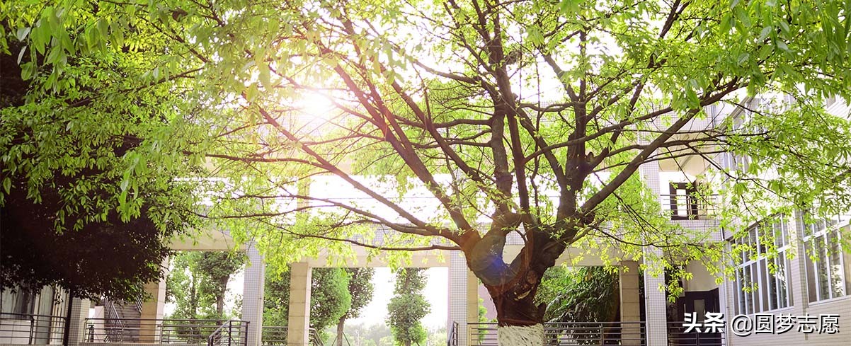 2019高考志愿填报：湖南理科，高考450分能上什么学校？附推荐