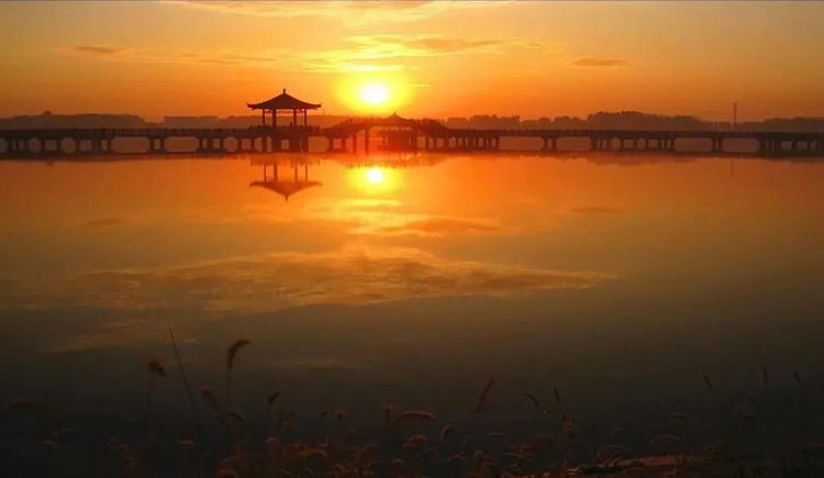 獎(jiǎng)金104000元丨“富有杯”全國(guó)詩(shī)歌、散文詩(shī)大獎(jiǎng)賽征稿啟事