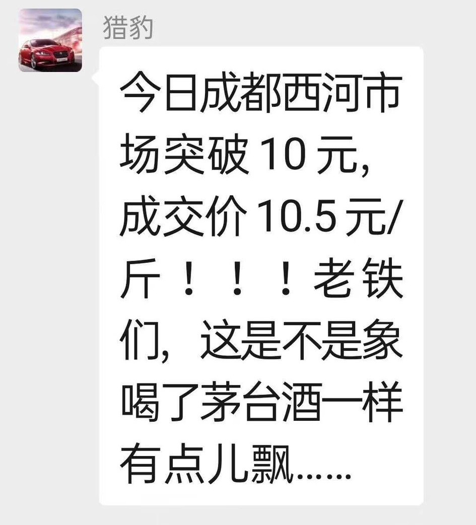 肉兔价格一路上涨，有些地方已经上涨至9.3元/斤