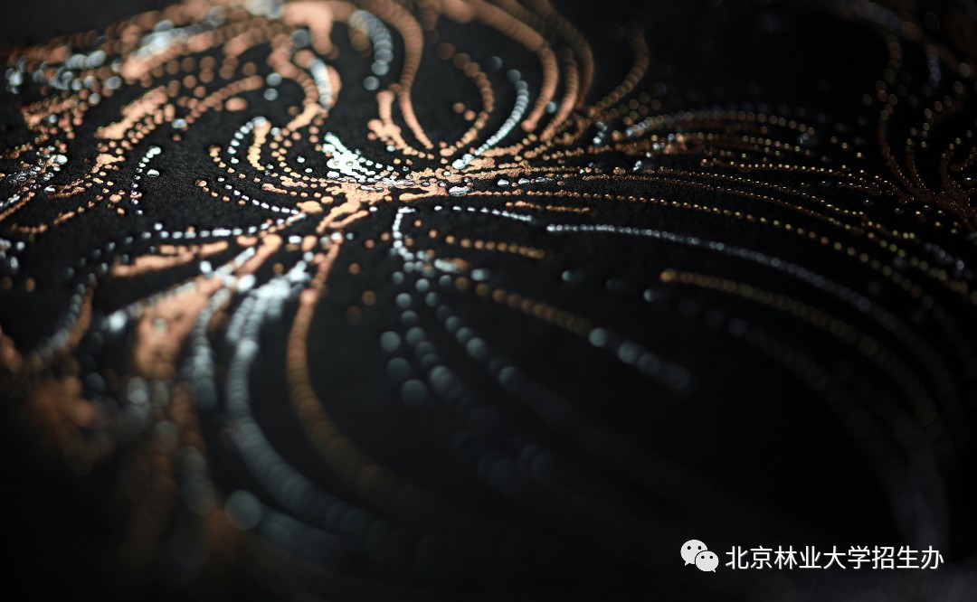 为了讲好八个字的校训，这所学校用了三年...