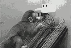 关店2个月陪考，女儿能上北大：懂得陪伴的家庭，赢在哪里？