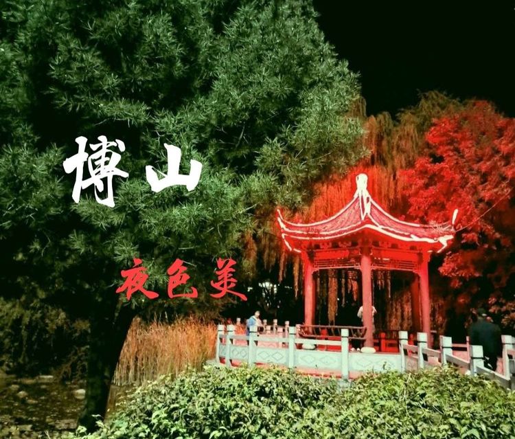 博山夜色春华俏，樱花玉兰枝头闹