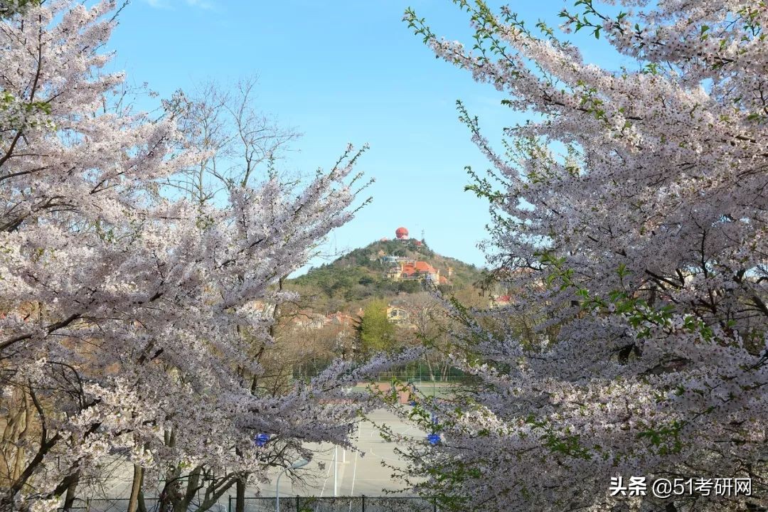 最美海景985高校，关键还不难考！多专业复试线为国家线