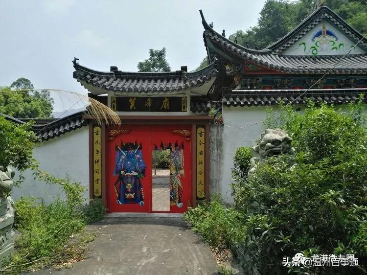 全面解读“望里”