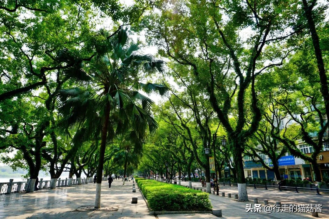 3月份的桂林是最舒服惬意的时候，三天两夜看一场山水画中景
