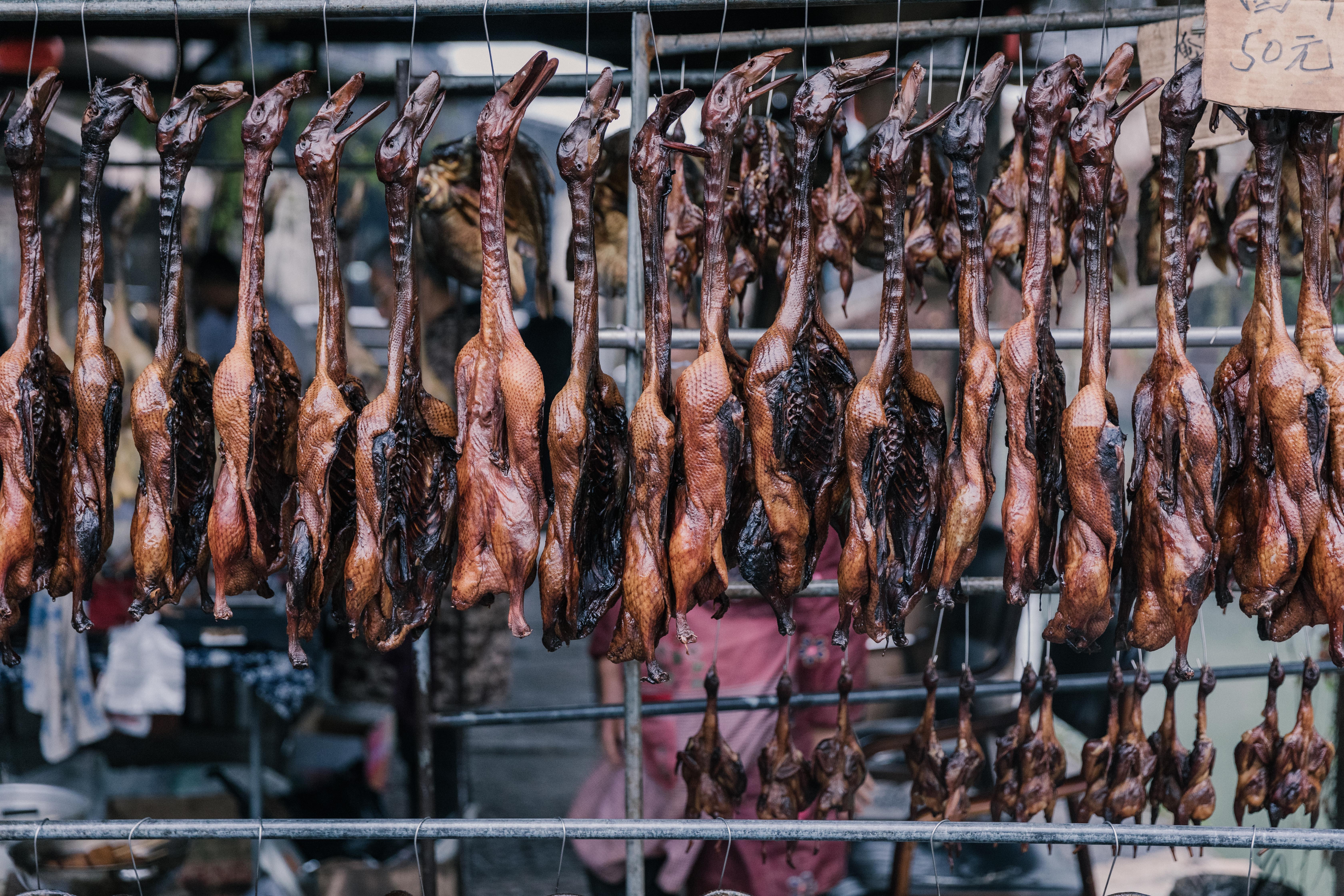 来绍兴不一定要去鲁迅故居，这6个小众景点更值得打卡