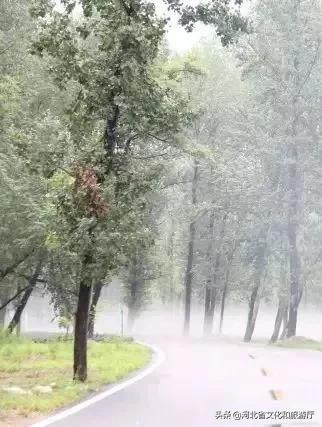 寻一处安逸，静听雨落，细赏美景