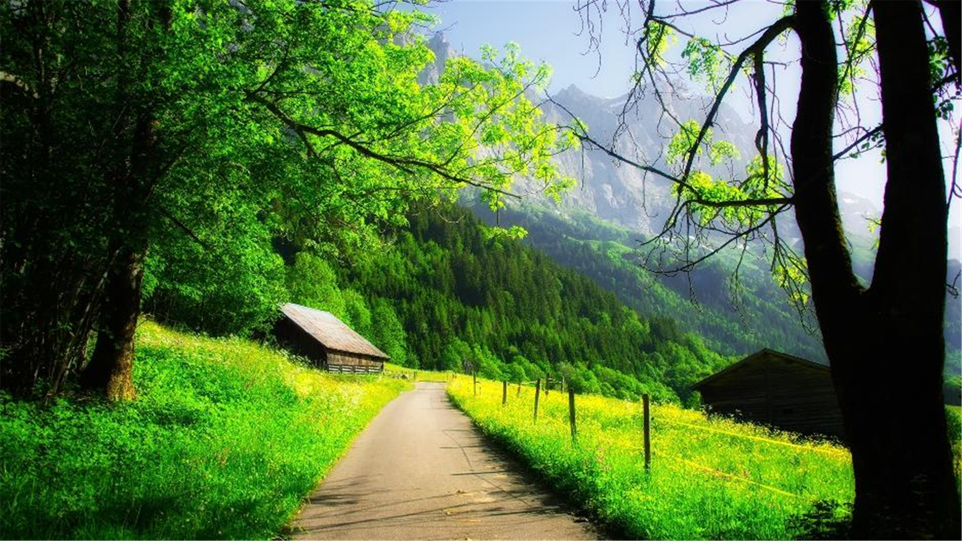 好看的桌面壁纸电脑桌面壁纸软件