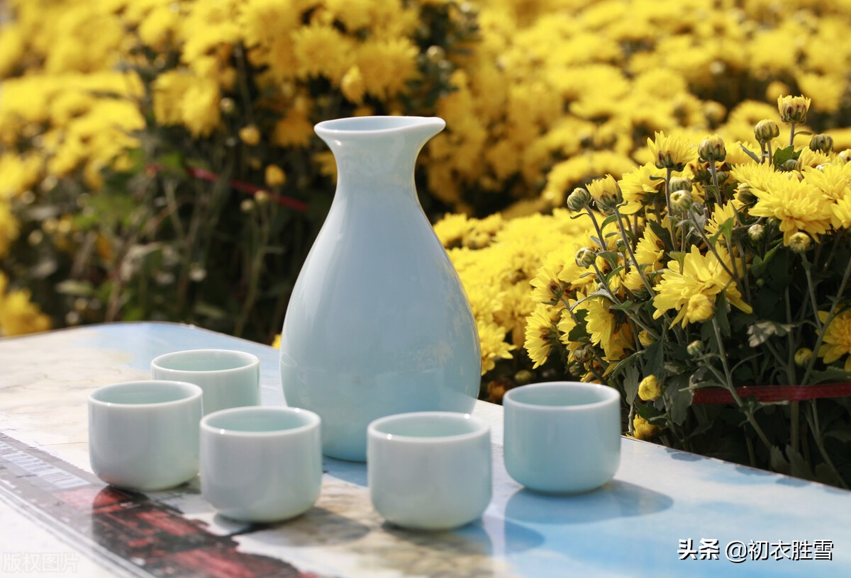 重阳节饮酒是什么酒,重阳节饮的是什么酒