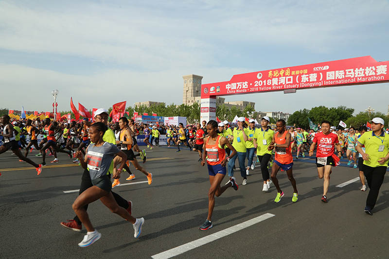 2018年深圳马拉松(北马、上马……国内的11场国际金标马拉松赛事，哪场值得跑？)