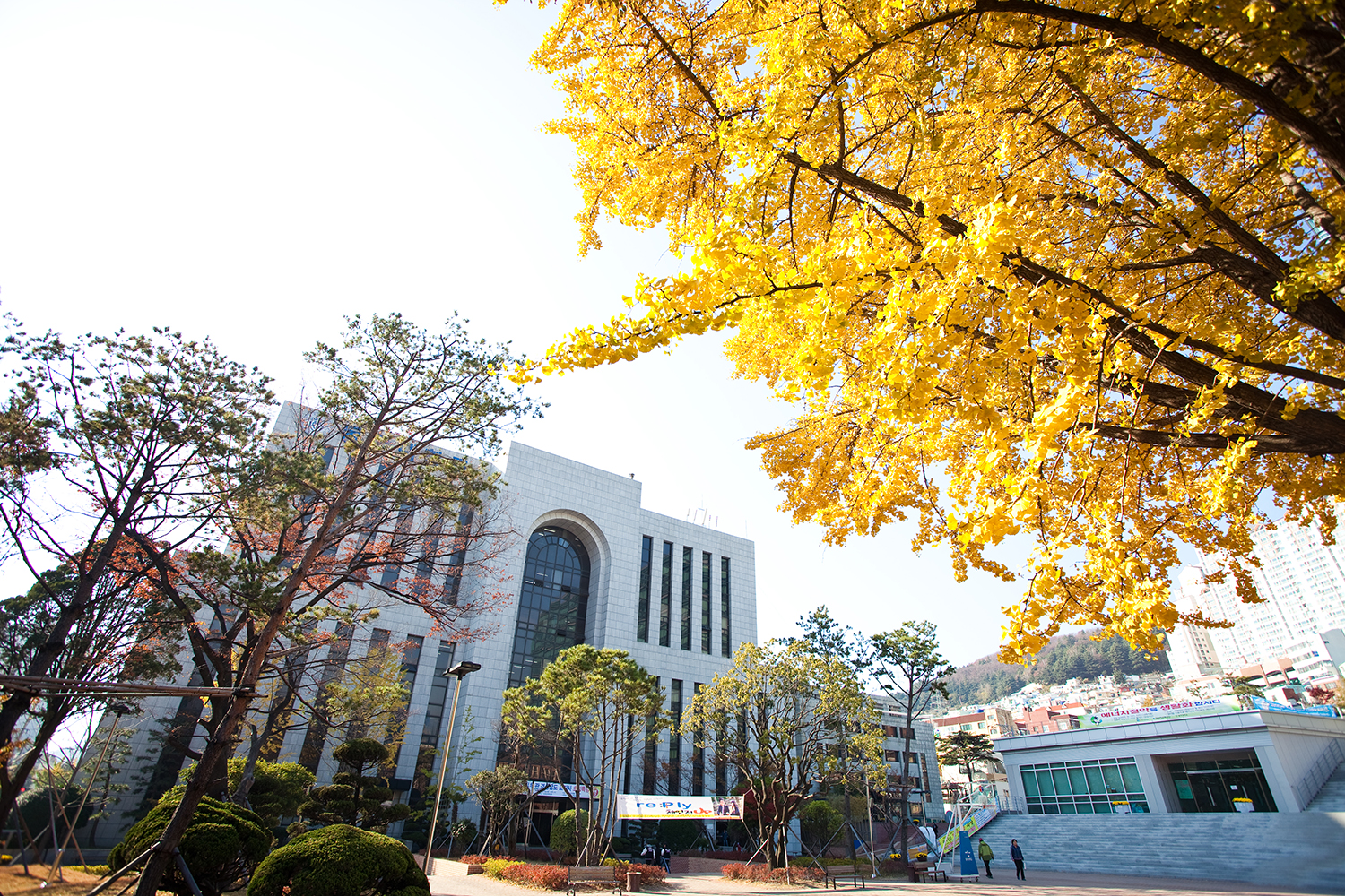 2021年韩国东亚大学中文授课法学硕士/博士