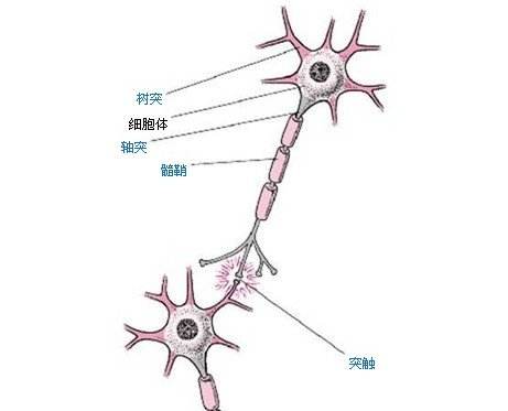 封闭比赛为什么能进世界杯(什么是封闭疗法？运动员打封闭上场其实也很无奈)