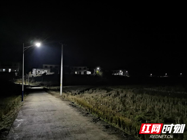 我的故乡:杂草蔓生,乡间小路