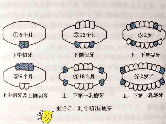 宝宝几个月长牙、出牙表现、应对建议，一文讲清，家长要正确护理