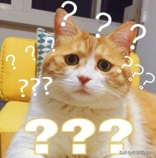 哪些贝壳能做珠宝？去赶海之前记得看看这一篇