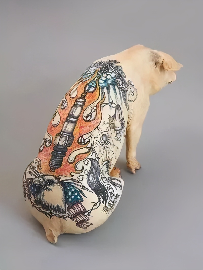 国外画家给猪纹身,一幅卖100万惹争议,该不该对猪这么狠心?