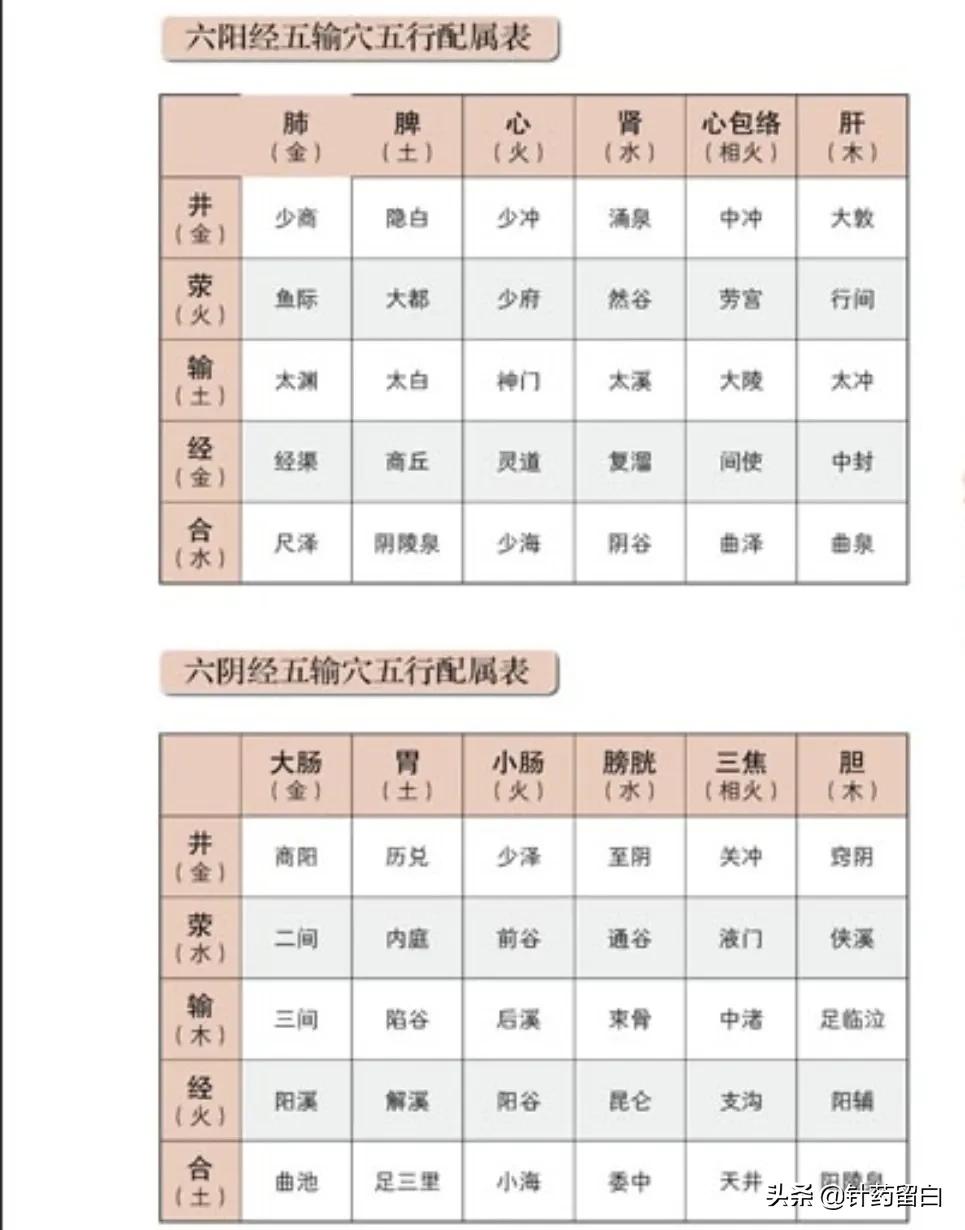 问答针灸——针灸可以治疗哪类疾病