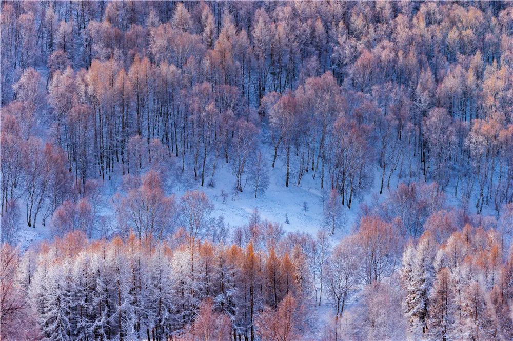 滑雪泡温泉，今冬度假新选择，东方雪都马上可以玩雪啦