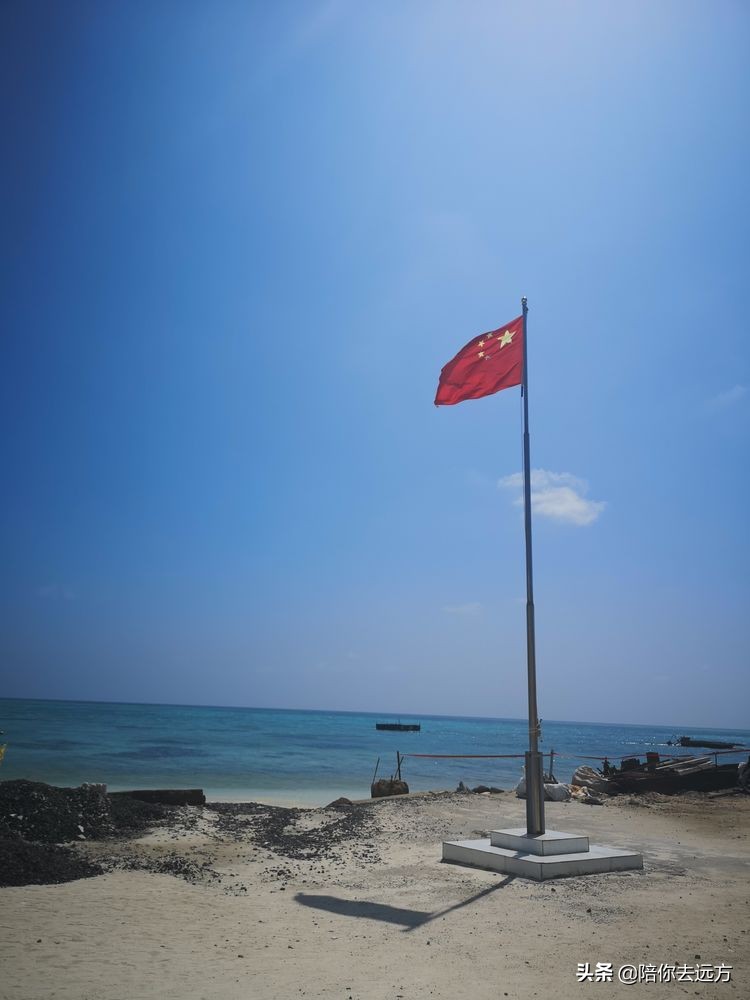 西沙~南海中的一片莲