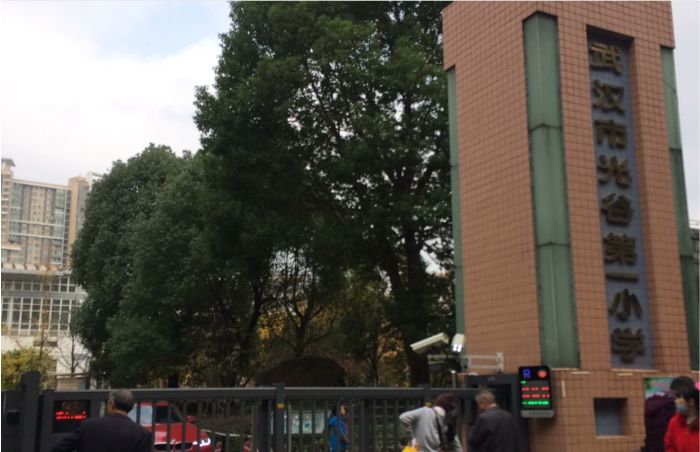 武汉人挤破头都想进的十七所小学