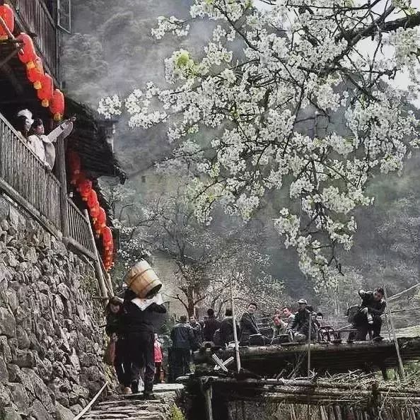 浙江龙泉10处最美古村落，寻访宝剑青瓷故里的静谧风景
