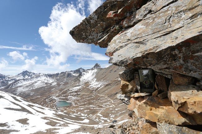 偷猎者是什么人（藏族巡山人：在白马雪山，与野生动物盗猎者“火拼”）