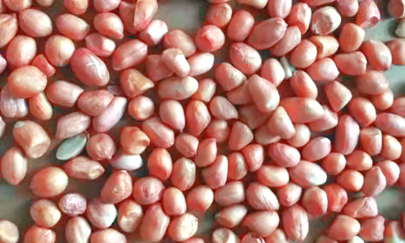 分享6款好吃小零嘴，自己在家就能做，简单易学还好吃，营养解馋