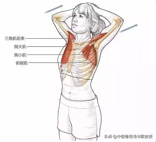 肩膀拉伸（肩周炎，肩膀疼痛，3个动作坚持做，拉伸肩膀，缓解疼痛）