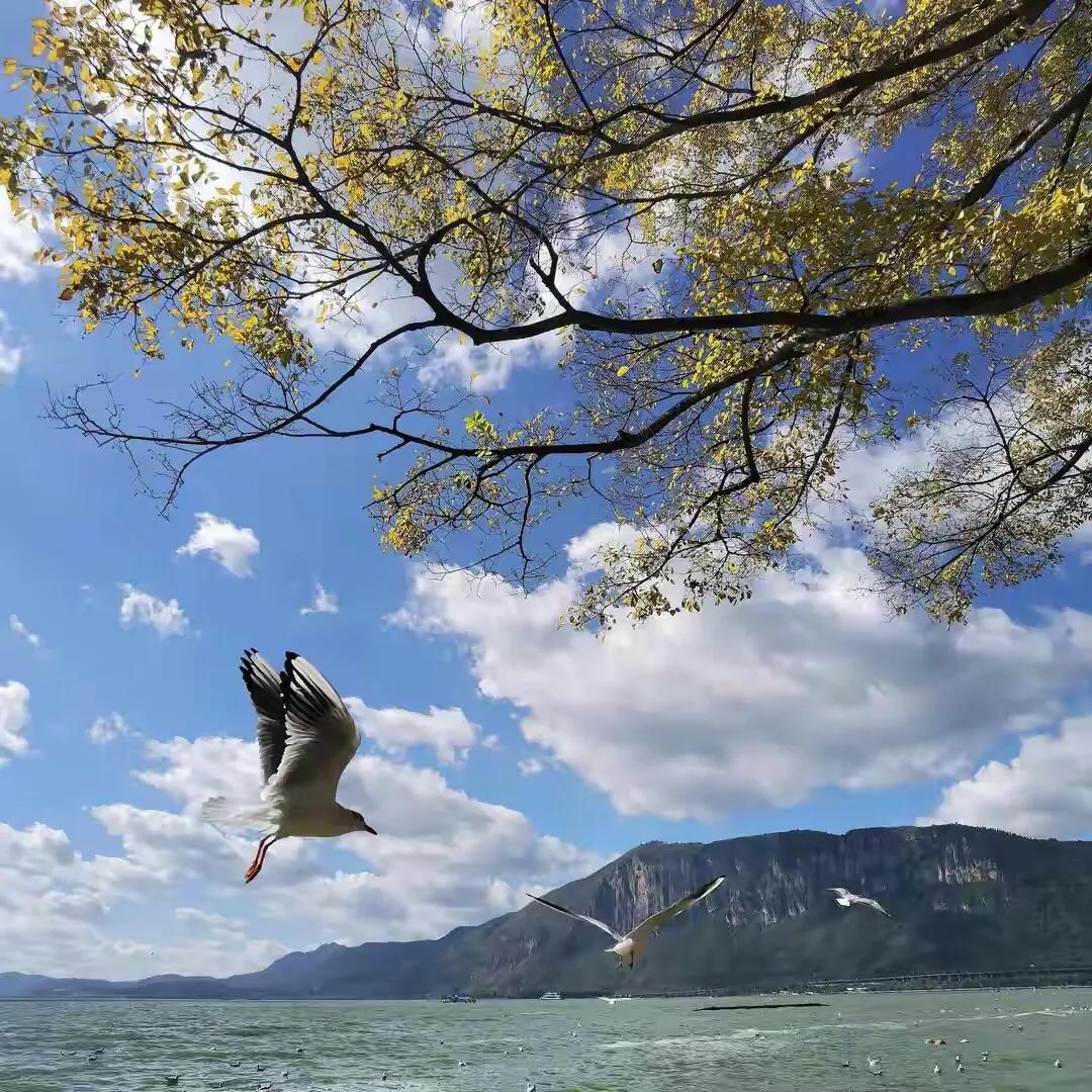 赞美摄影作品好的句子(手拍世界) - 火句子