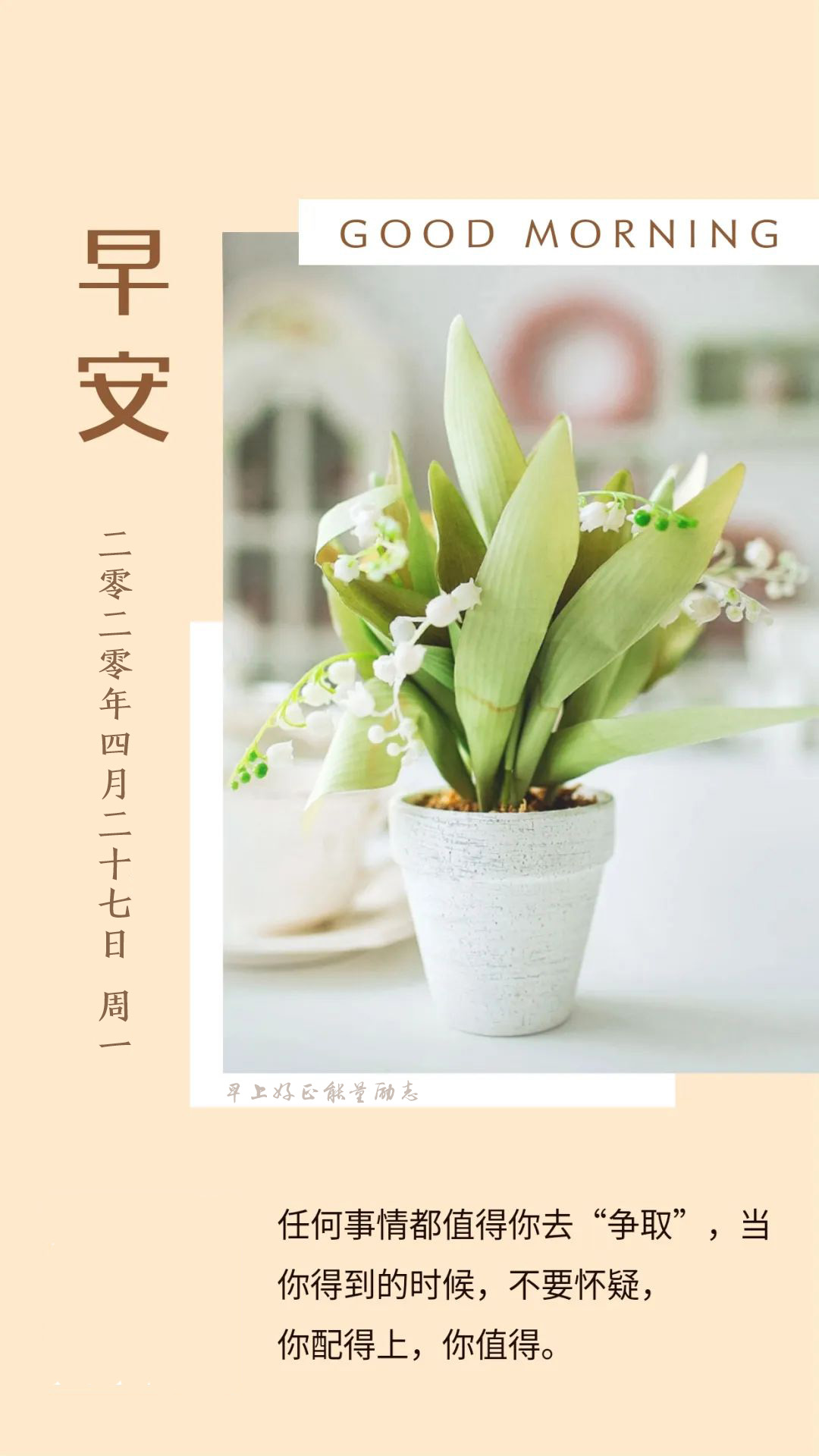 新的一周早上好正能量阳光问候语句：你要悄悄拔尖，然后惊艳所有人