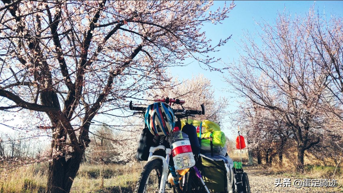 这个春天我在路上，从雪山走向戈壁