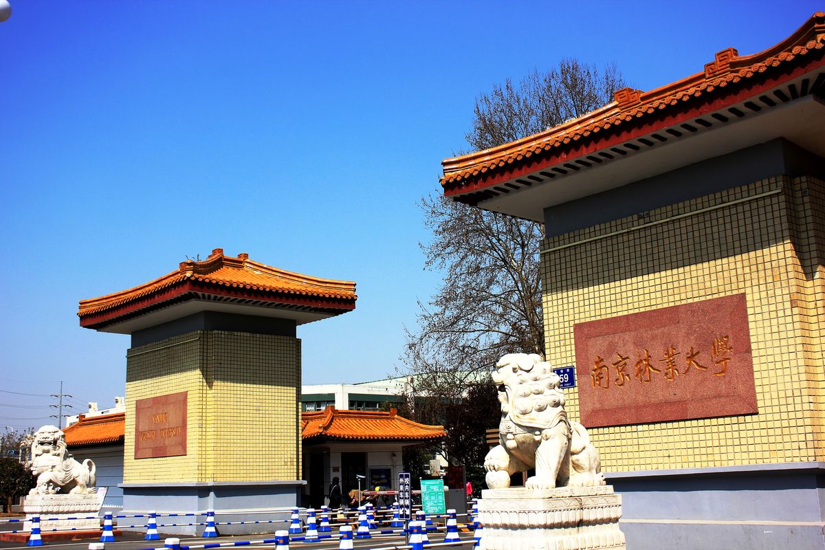 盘点9所江苏省的高性价比大学，成绩中等考生值得报考