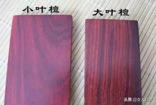 红木市场,最热门的8个品种!