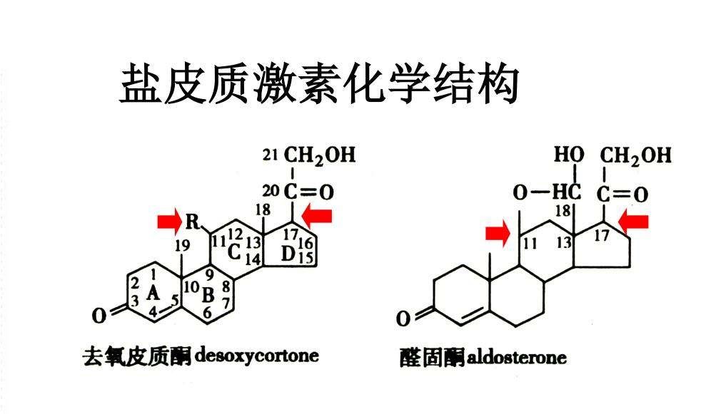 封闭比赛为什么能进世界杯(什么是封闭疗法？运动员打封闭上场其实也很无奈)