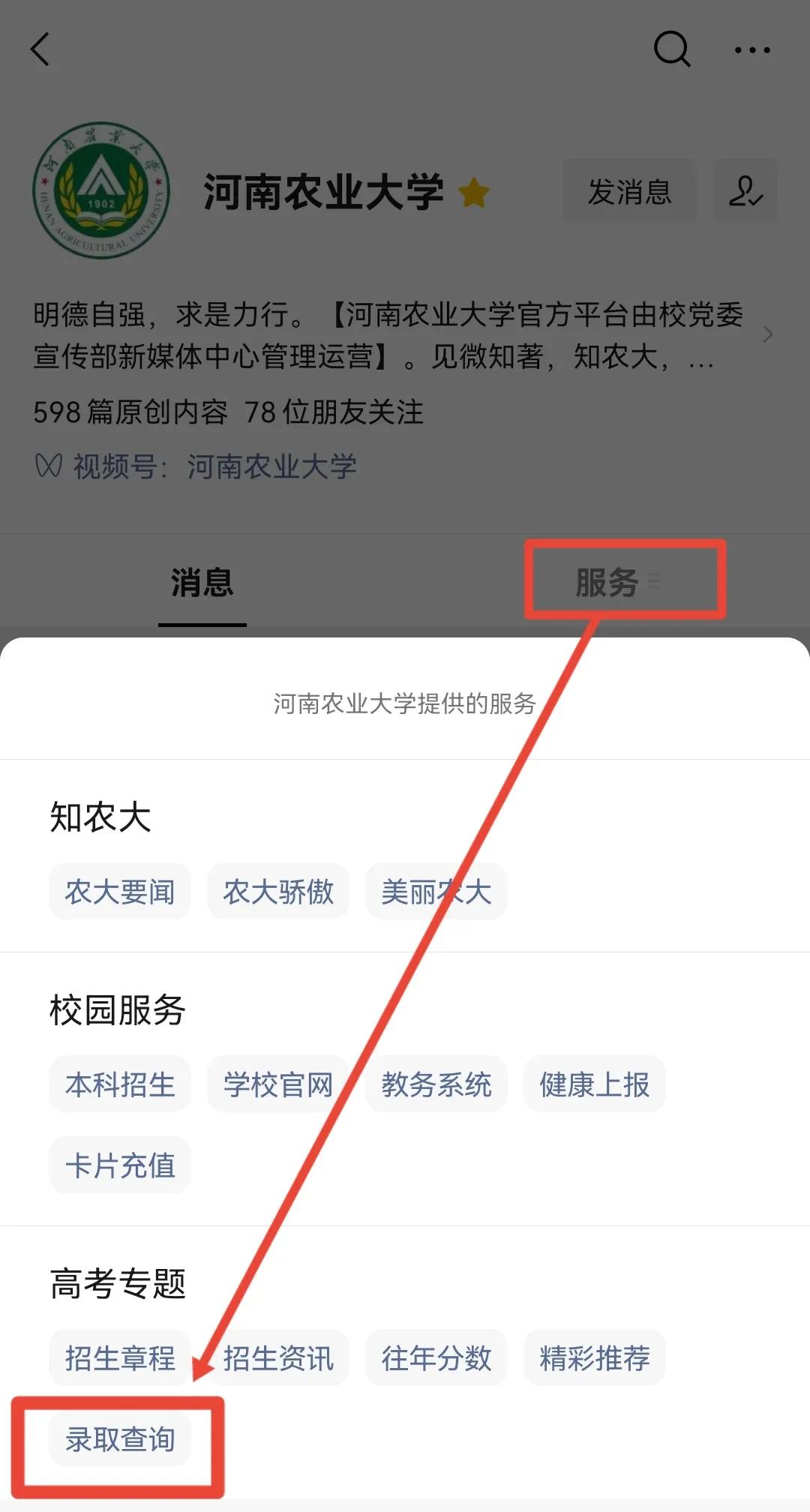 必看丨录取结果查询方法