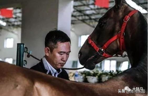 快快报名青马课堂！提前“占座”，与全国冠军马术骑手面对面