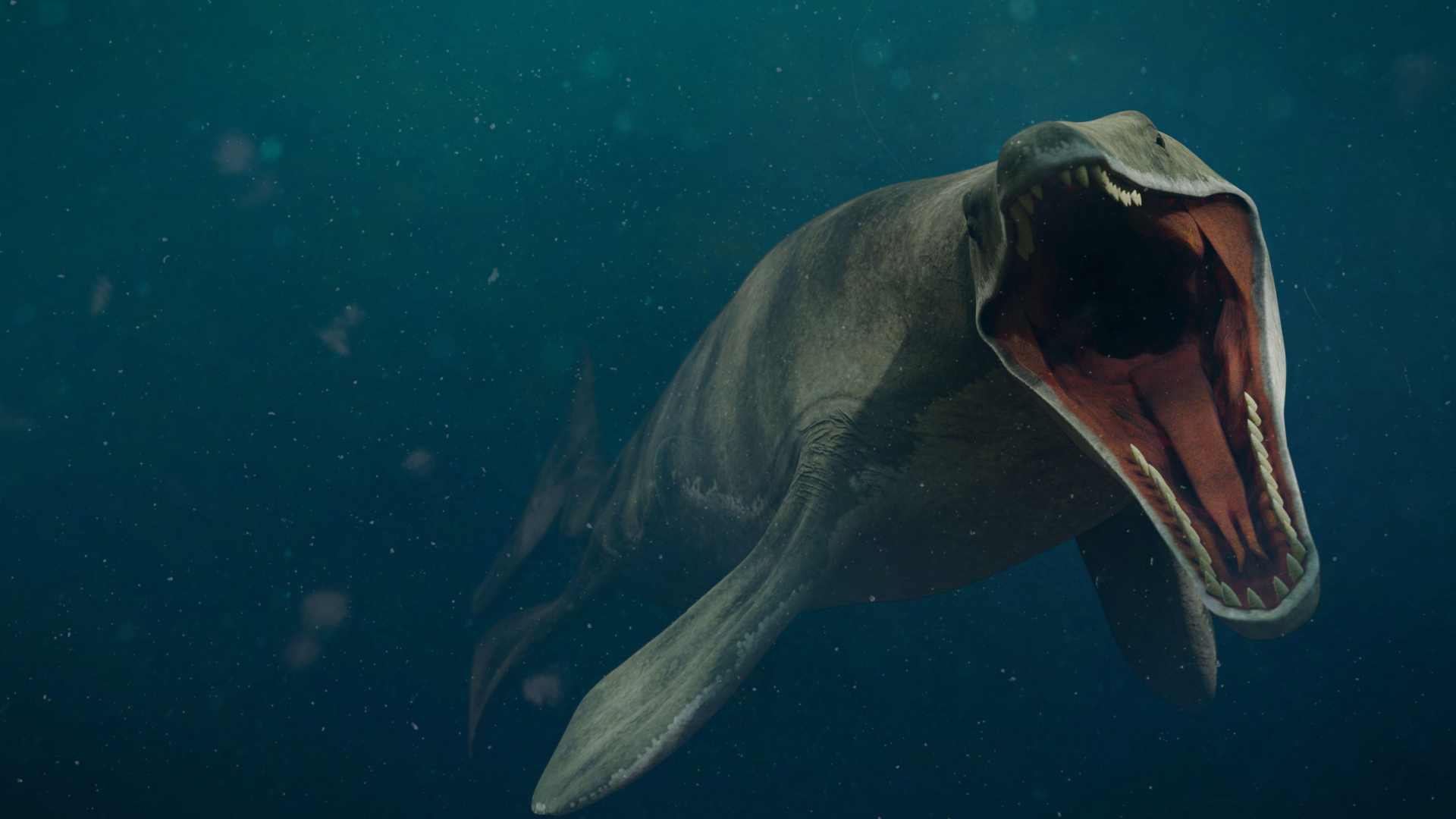 盘点史前最强大的10种生物，巨齿鲨仅排第6，沧龙力压帝鳄排第2