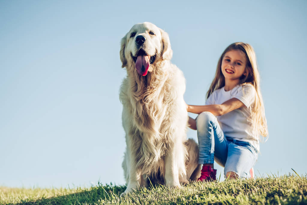 小鹿犬千万别养（养小鹿犬的人都后悔了）-第1张图片-昕阳网