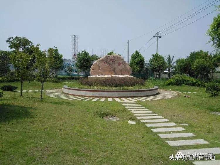 全面解读“望里”